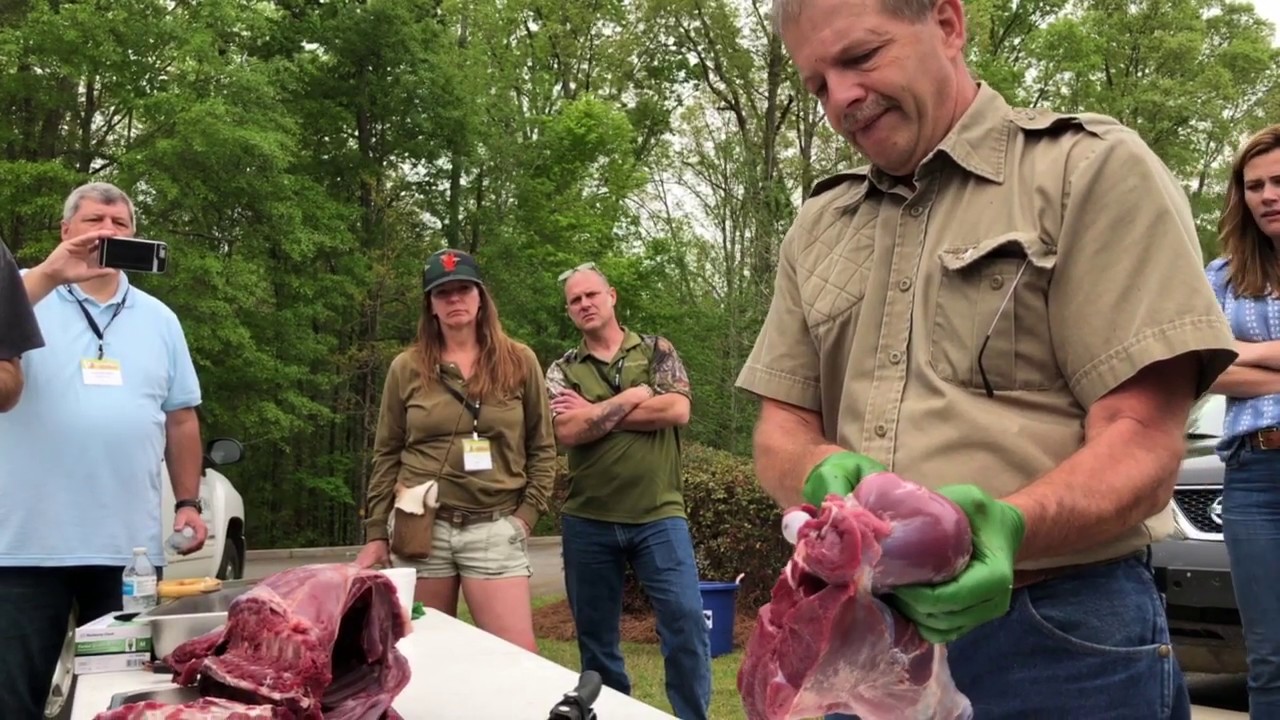 How to Debone a Venison Hindquarter