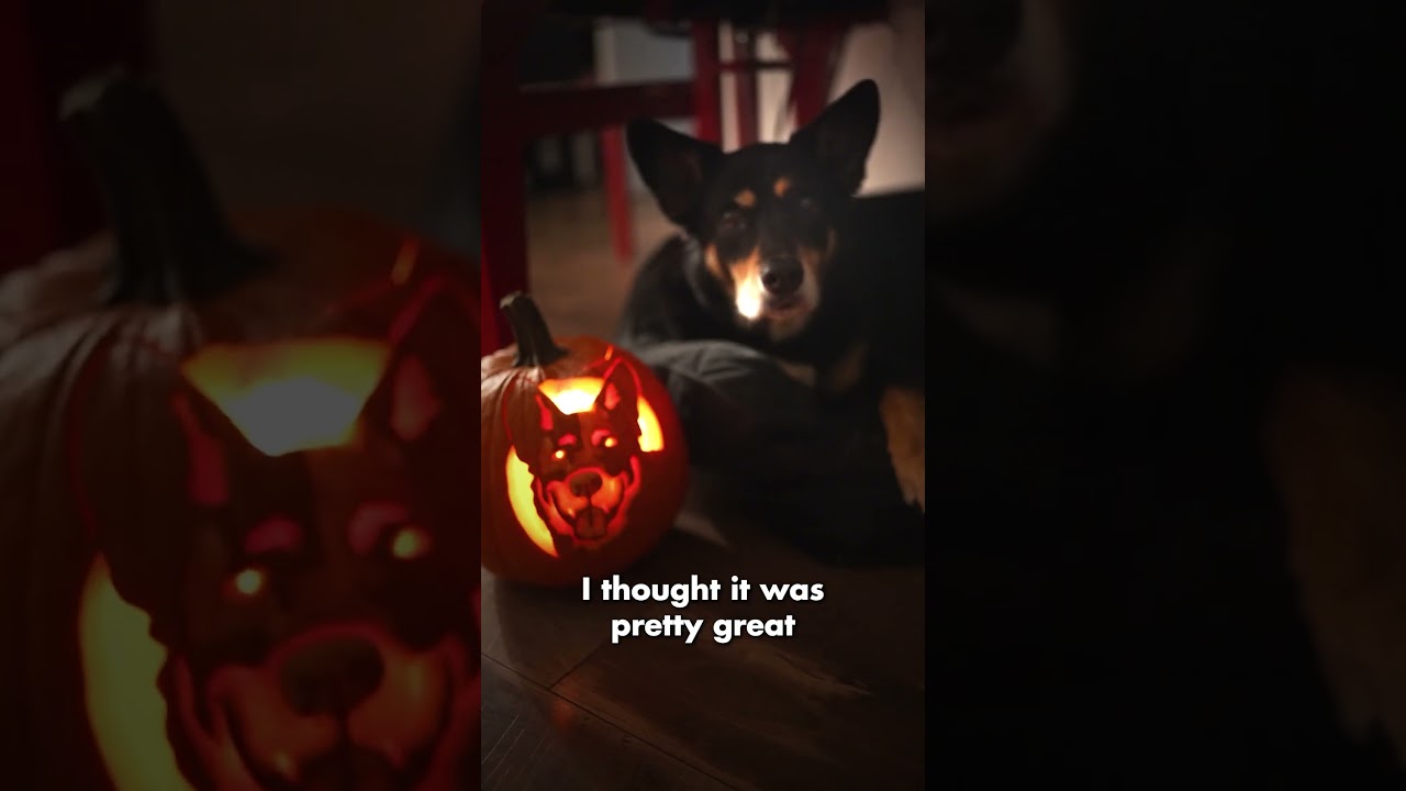 My Dog as a Pumpkin Carving