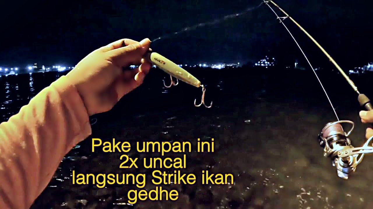 Mancing pinggiran pantai dapat ikan Barracuda