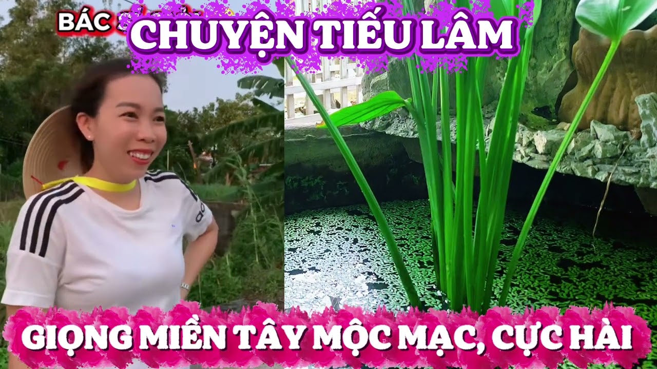Giải trí mỗi ngày những câu chuyện tiếu lâm hài hước