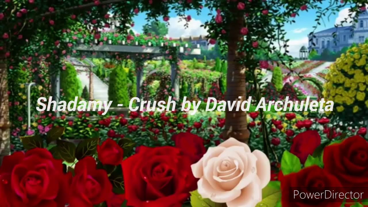 Shadamy - Crush [AMV]