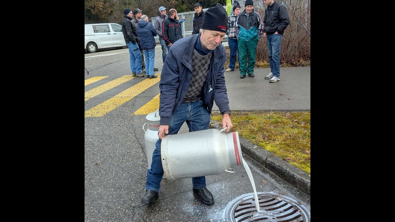 «Der Leidensdruck der Schweizer Milchbauern ist sehr gross»