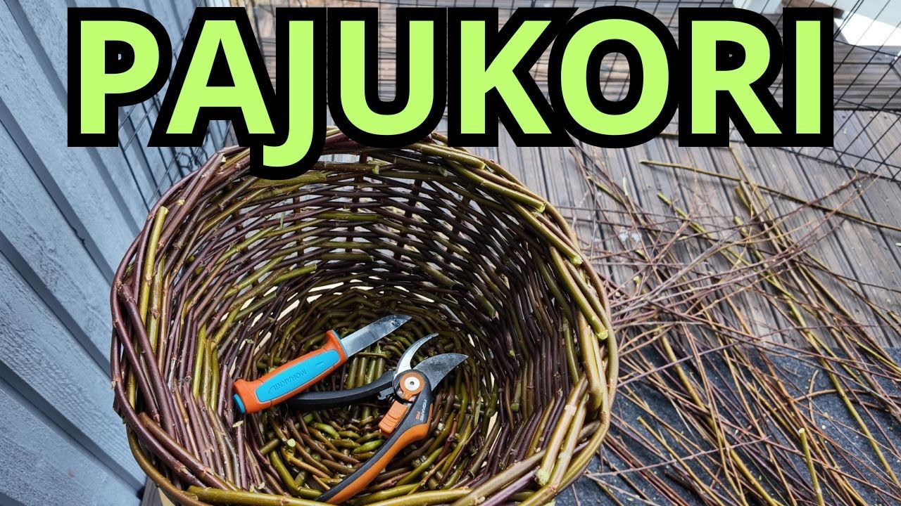 Pajukorin punonta luonnonpajusta