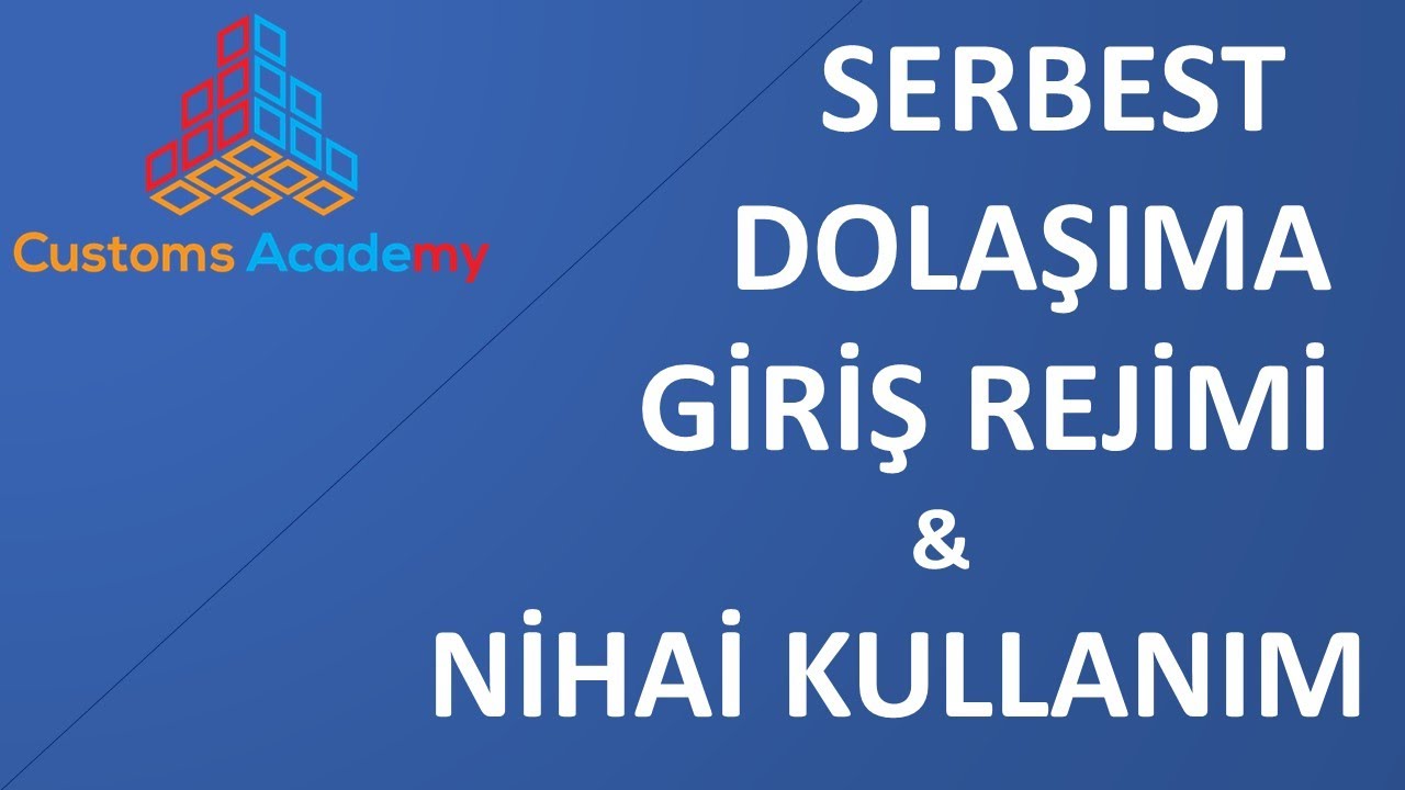 SERBEST DOLAŞIMA GİRİŞ REJİMİ - NİHAİ KULLANIM