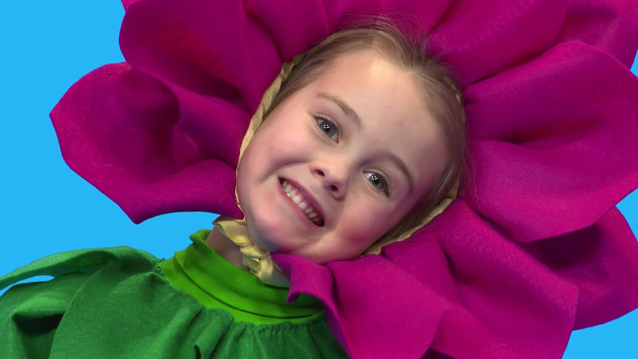 5 Spring Flowers | Songs for Kids
