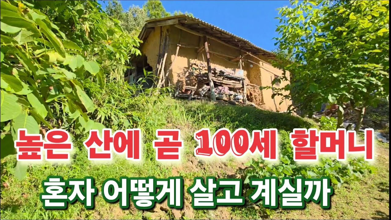 높은 산에 곧 100세할머니 어떻게 혼자 살고 계실까.
