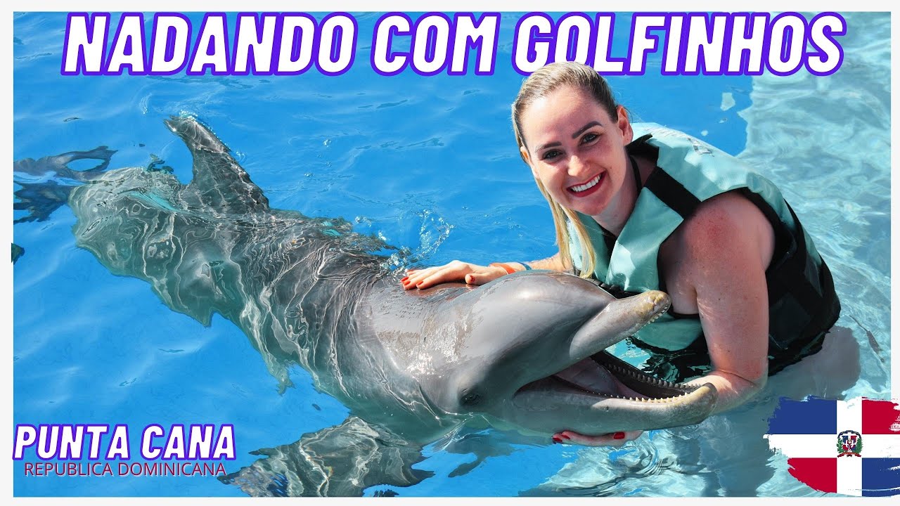 Nadando com Golfinhos em Punta Cana: Preços e Experiências | Guia Completo | Descubra Tudo Dolphin