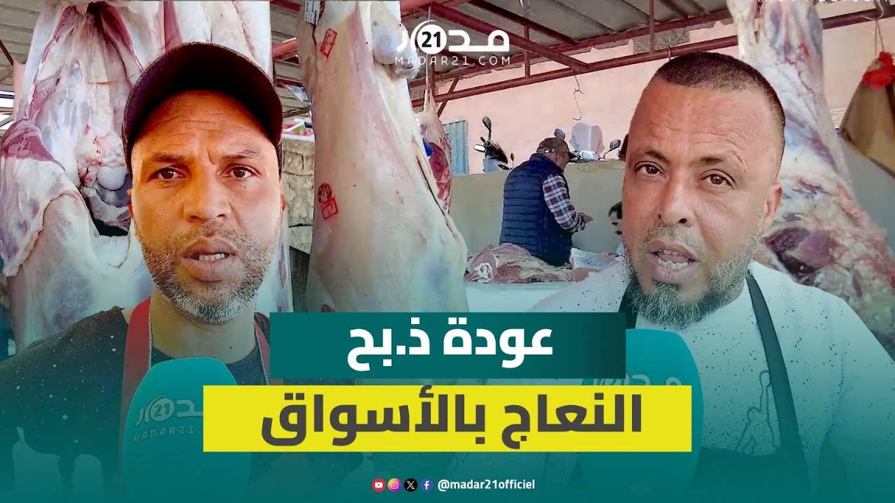 رفع الحظر عن ذ.بح النعاج.. مهنيون:  ثمنها مازال مرتفعا وعودتها للسوق لم تؤثر على غلاء اللحوم