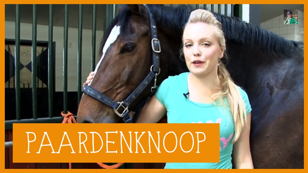 Paardenknoop | PaardenpraatTV