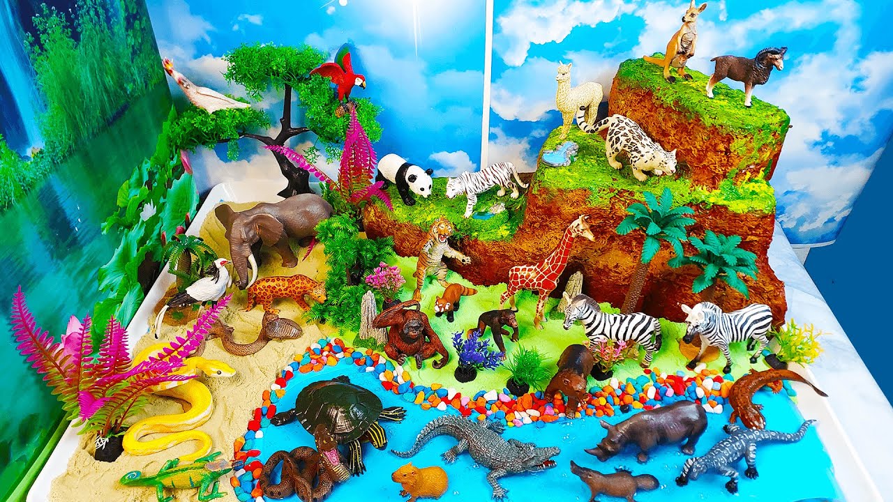 Aprende nombres de animales  zoológico-Construir un santuario de vida silvestre-vídeo educativo