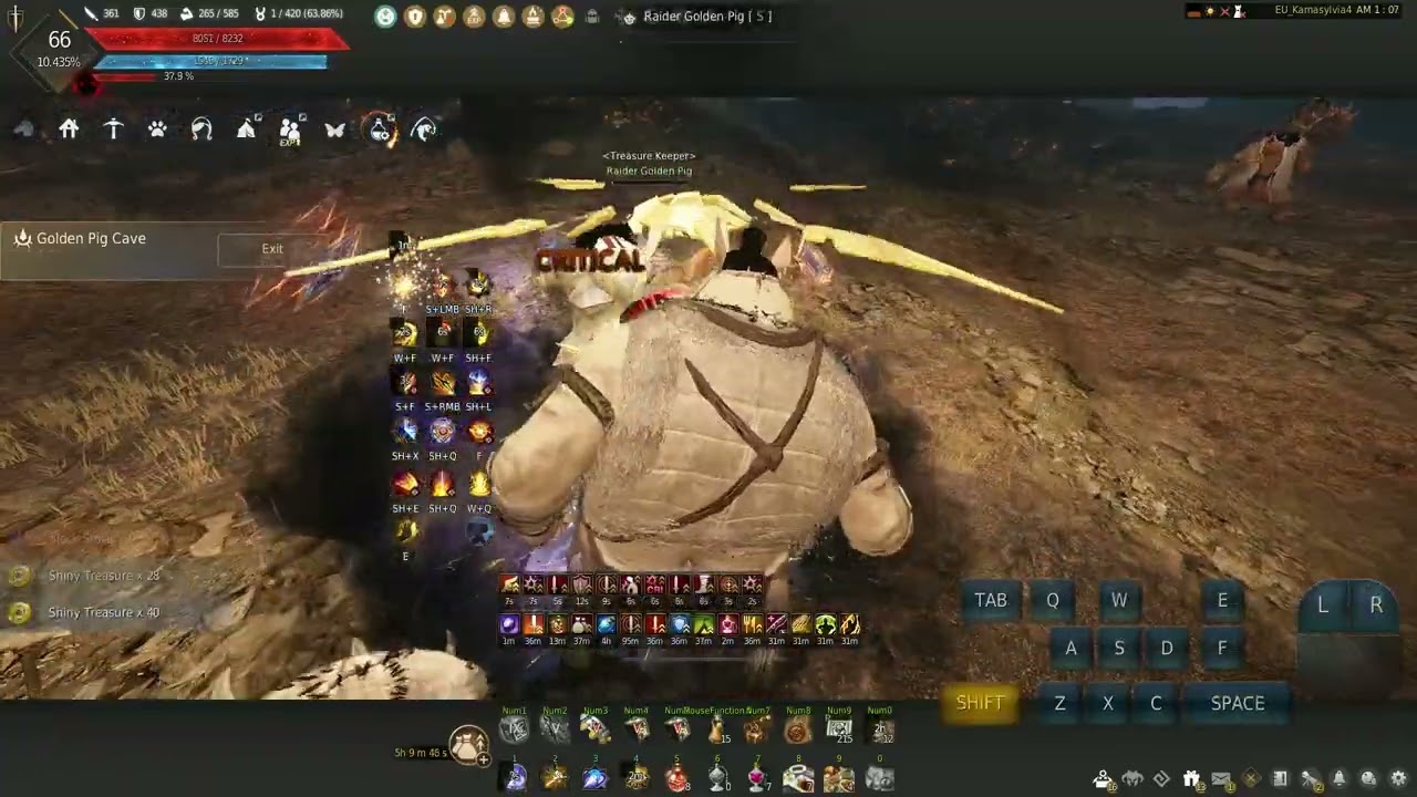 BDO Sage Awakening Fortunate Golden Pig Cave 12:38 run + 1:48 scroll