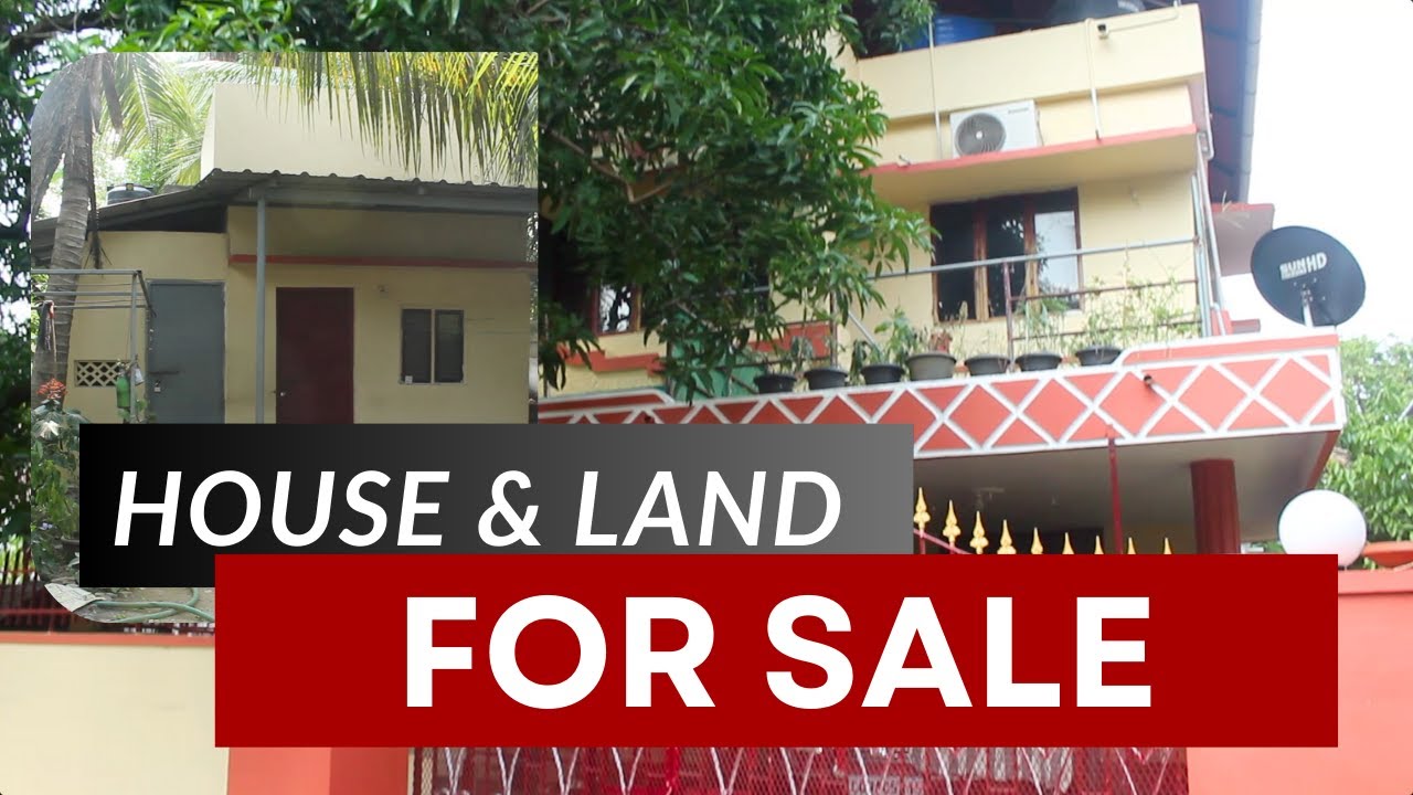 HOUSE FOR SALE IN PALAKKAD|RESIDENTIAL HOUSE IN PALAKKAD| SHEKHAR PLKD 04 05 23 ARUN