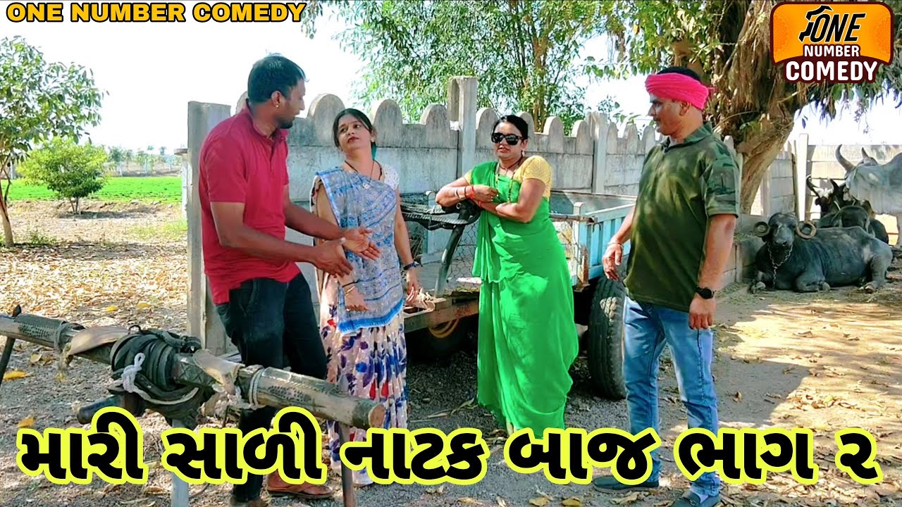 મારી સાળી નાટક બાજ ભાગ ૨ || ગુજરાતી સામાજિક વિડીયો || ન્યુ ગુજરાતી વિડીયો || સળી બનેવી નો વિડીયો
