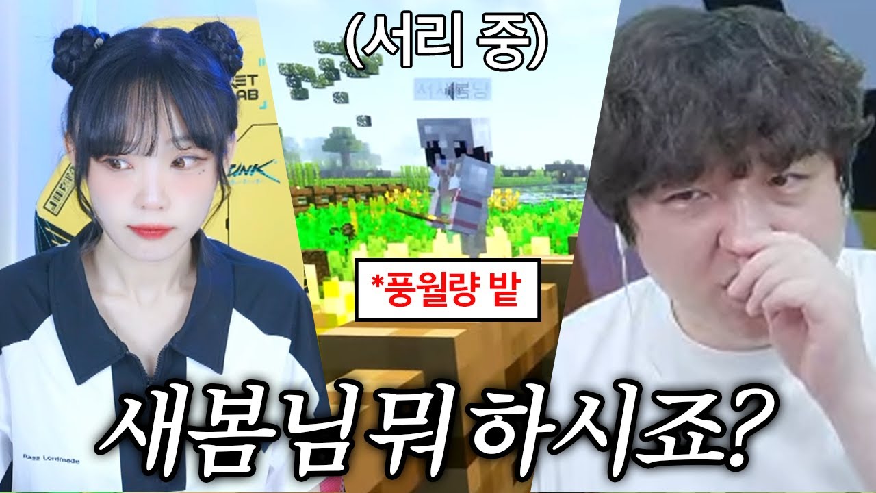 풍월량 밀 훔치는 새봄추