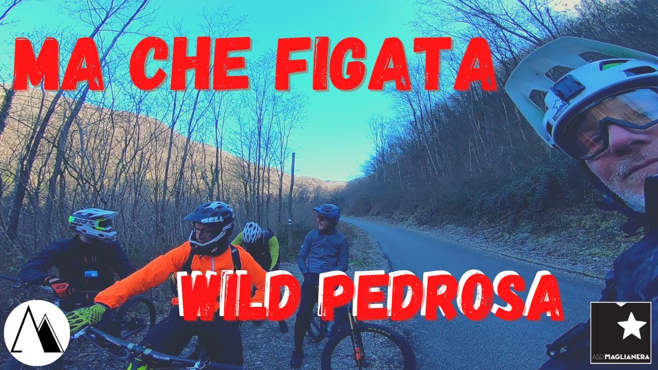 MA CHE FIGATA WILD PEDROSA...#mtb #trail #enduro #fvg