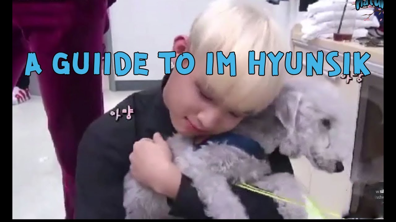 UNHELPFUL GUIDE TO BTOB"S IM HYUNSIK: all the things you don't need to know