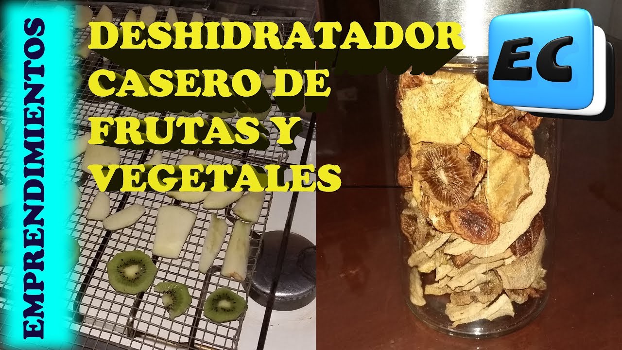 Deshidratador de frutas casero. Emprendimiento rentable con baja inversion