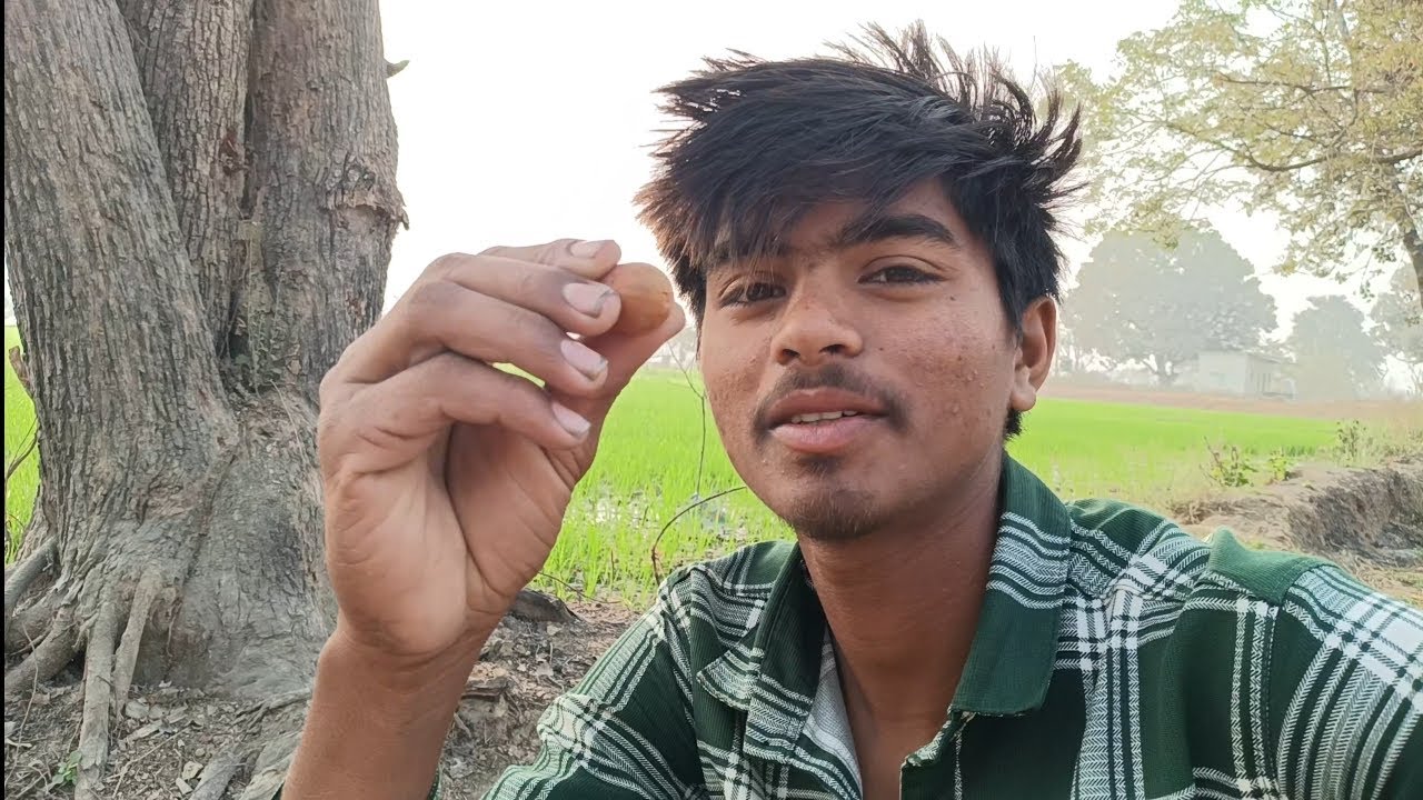 Lo a gaye Ber khane 🥰 Karthik Ram satnami