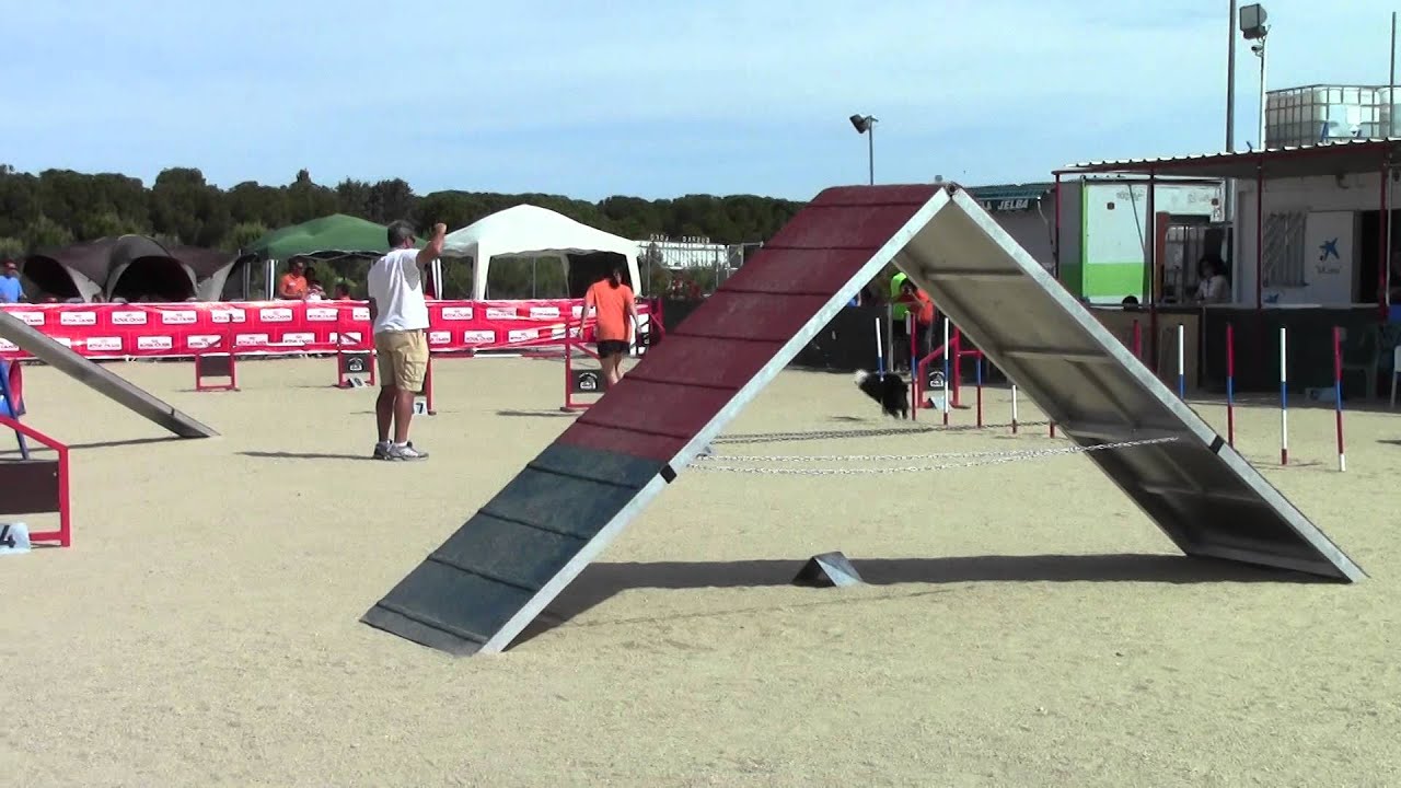 Participante Agility Cubas 11 Mayo 2014 11h13'