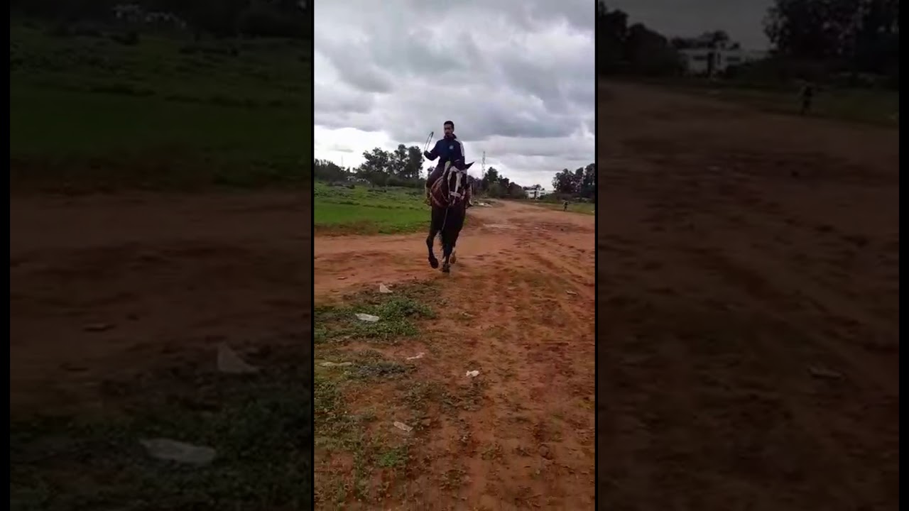 المقدم فاتح شراط  والجدع الأدهم الملكي❤🐎❤