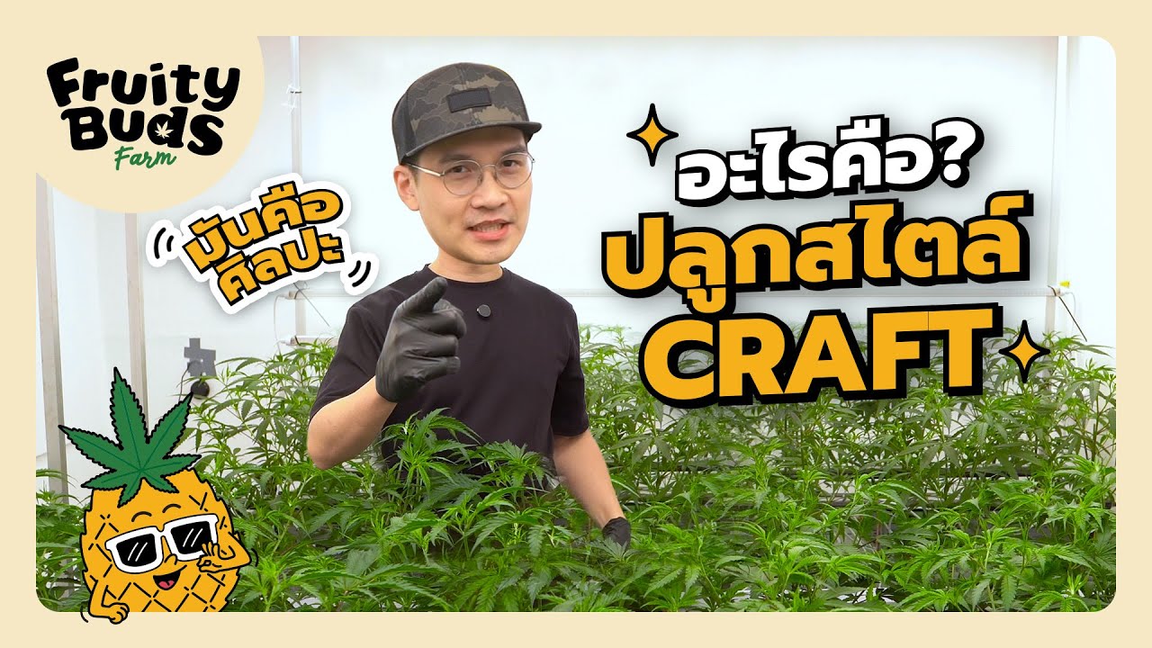 การปลูกสมุนไพรสไตล์ CRAFT ของ FruityBuds Farm