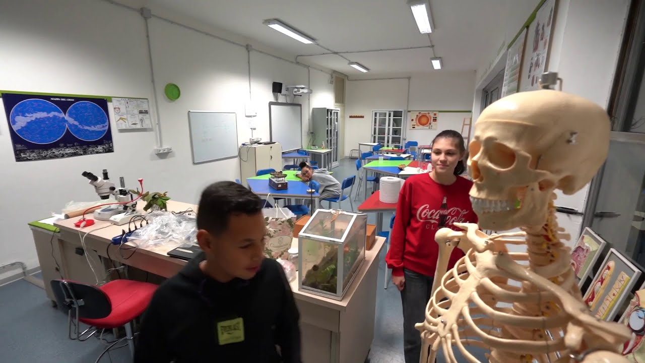 Scuole Secondarie dell'I.C. 