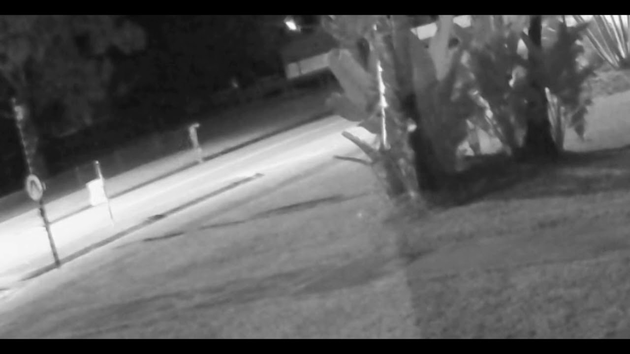 Weipa hit and run