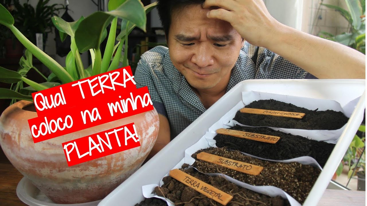 Qual a melhor TERRA para minha PLANTA?