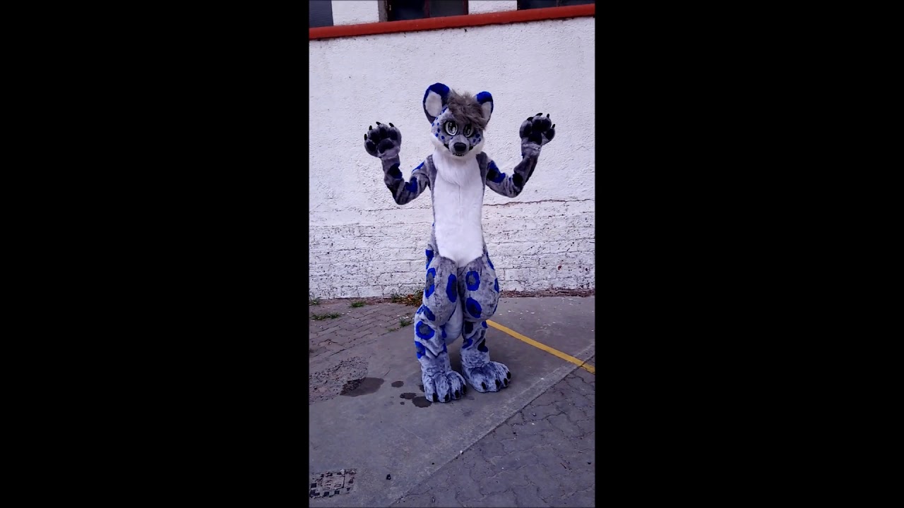Leohart snow leopard full digi