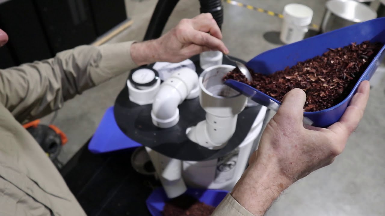 Cacao Winnowing
