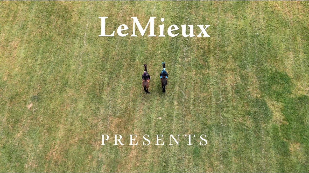 AW22 Suede Collection Launch