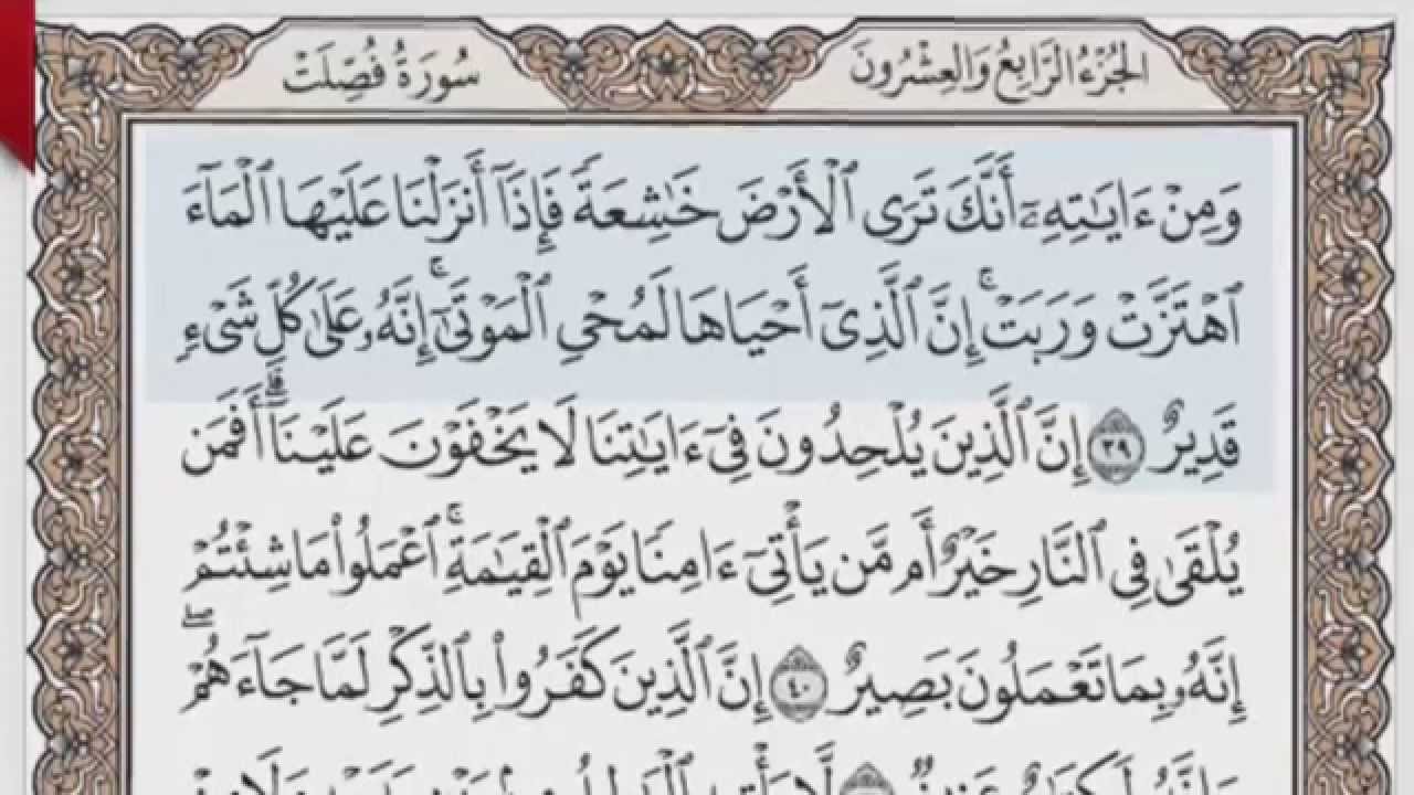 القرآن الكريم بالصفحات صوت وصورة ص/ 481 الشيخ محمود خليل الحصري بمد المنفصل