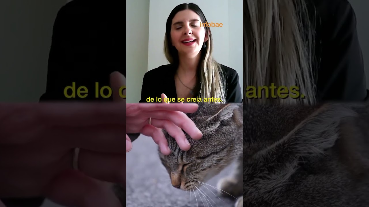Nota en Infobae acerca de los beneficios de aplicar la Biodescodificación a los  animalitos