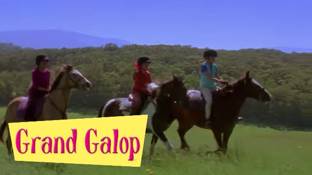 Grand Galop 120 - Un mauvais pari | HD | Épisode Complet
