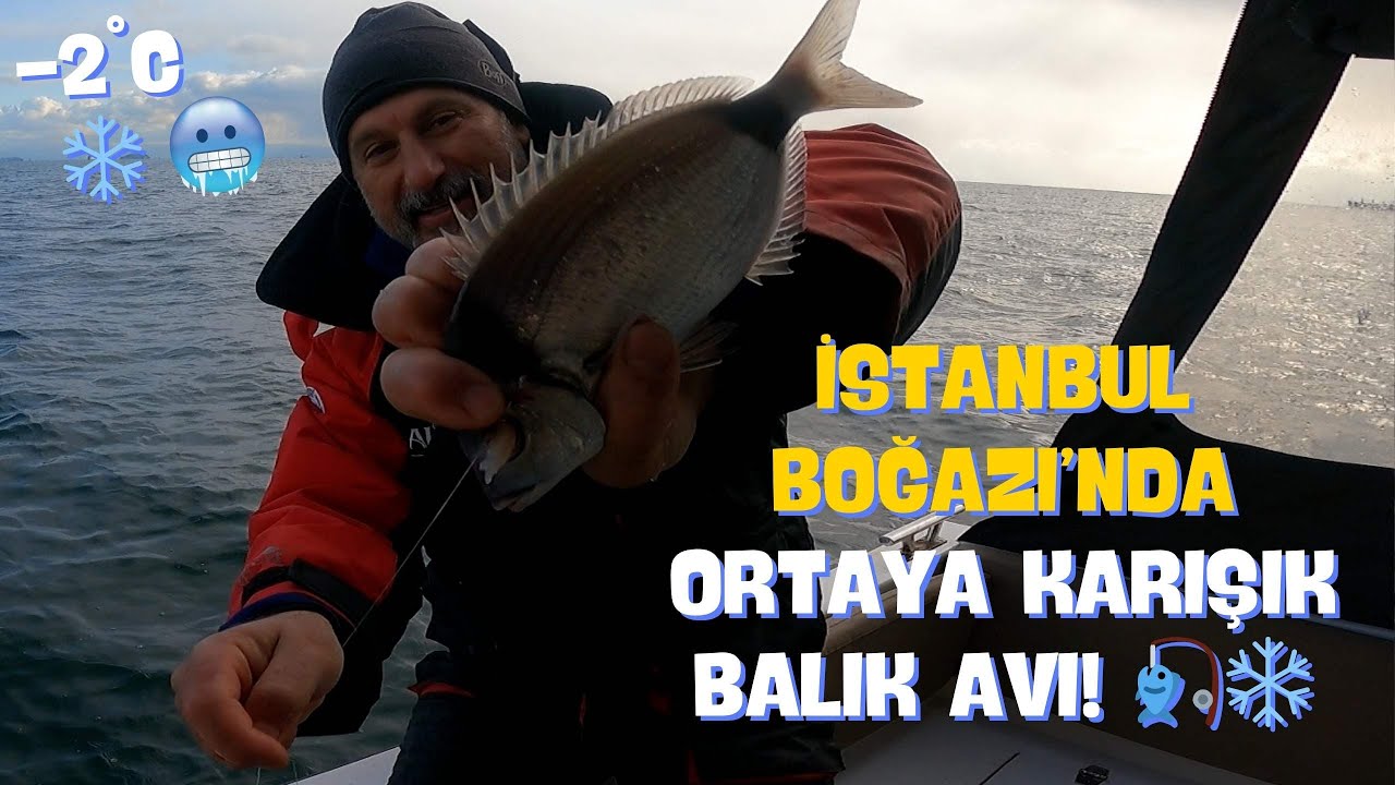 -2°C’de İstanbul Boğazı’nda Ortaya Karışık Balık Avı! 🎣❄️