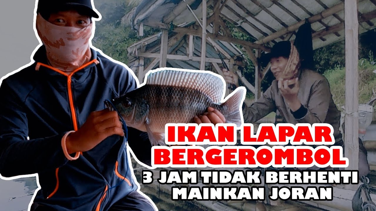 3 Jam Diserang Ikan Lapar | Mancing Saguling Terbaru 2026