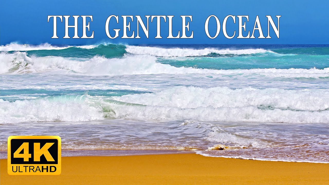 The Gentle Ocean. 