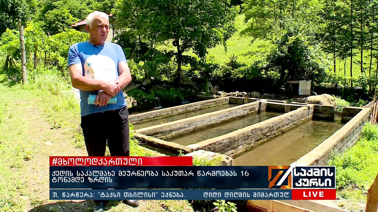 #მხოლოდქართული - ქედის საკალმახე მეურნეობა საკუთარ წარმოებას 16 ტონამდე ზრდის