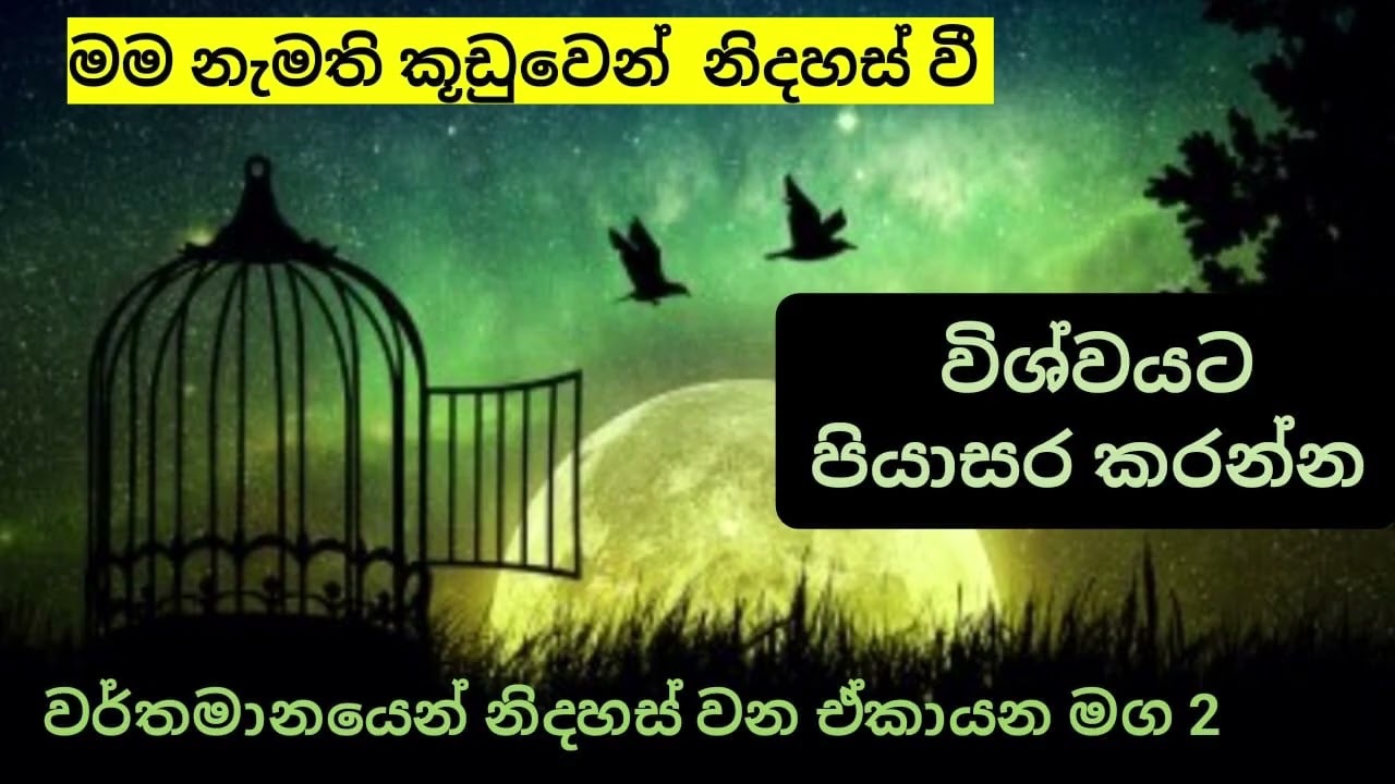 වර්තමානයෙන් නිදහස් විම 2 31 July 2024