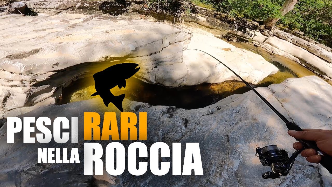 PERLE DI FIUME nella ROCCIA; pesca con TESTINA PIOMBATA e LOMBRICO alla ricerca di un RARO PESCE