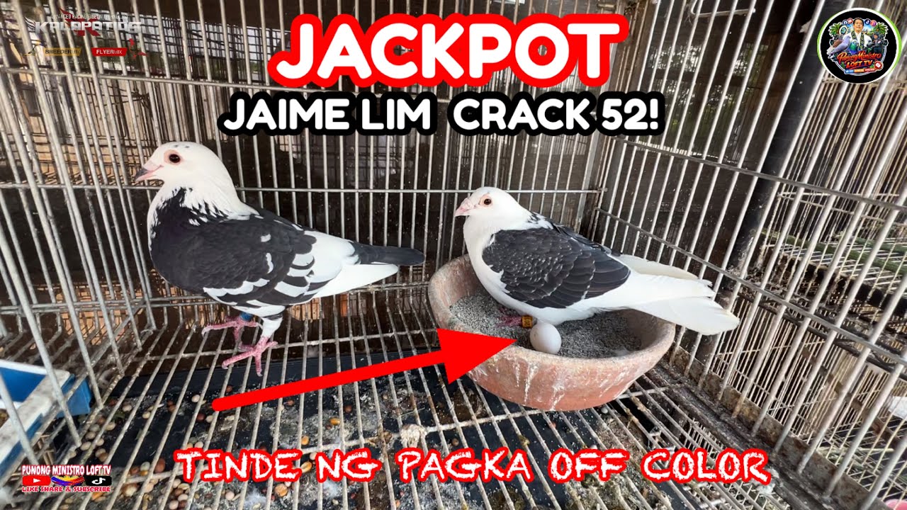 EP1277 JACKPOT TAYO SA PARES NG CRACK 52 SABAY SABAY!