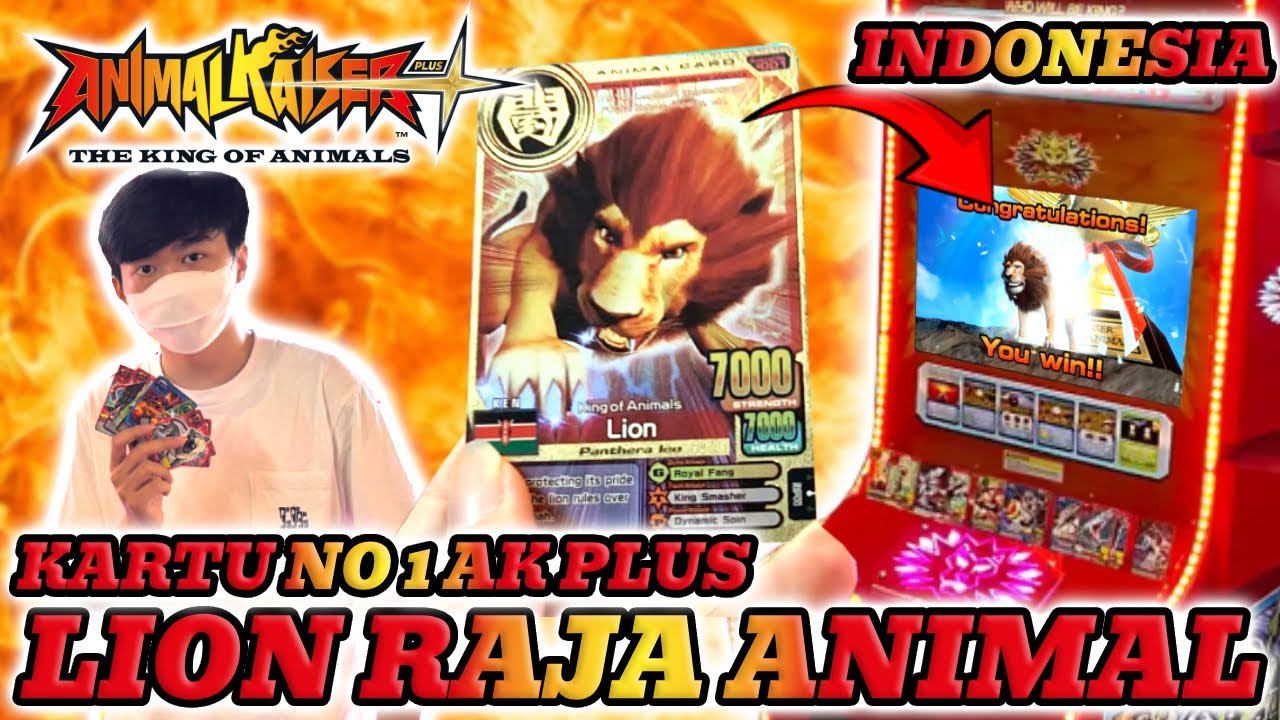 KITA PAKAI KARTU NO 1 🦁 DI ANIMAL KAISER PLUS THE LION KING OF ANIMALS !!! - AK PLUS INDONESIA #5