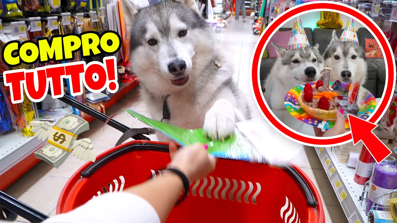 COMPRO TUTTO quello che TOCCA il mio CANE per il COMPLEANNO del suo FRATELLINO 🐶🎂💸 | MARTY E YUKO