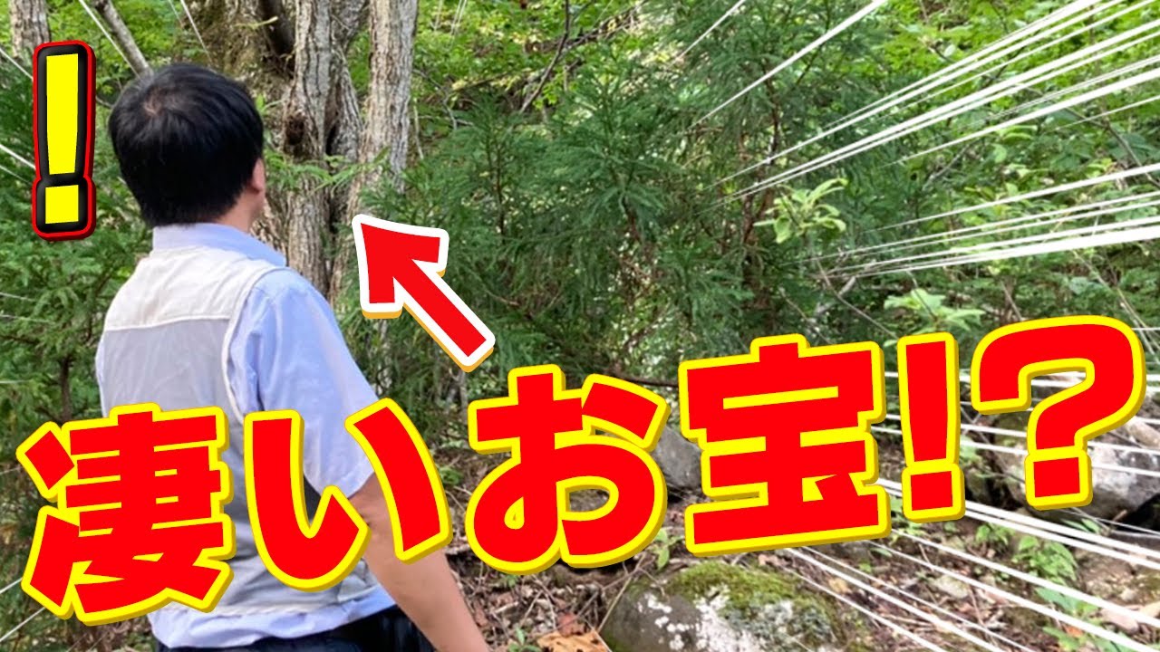 採集にいったらスゴいお宝をみつけた