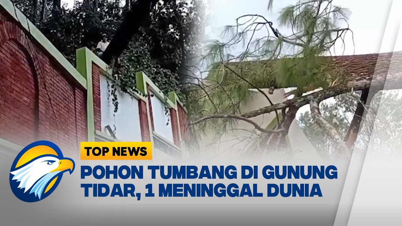 Hujan dan Angin Kencang Sebabkan Pohon Tumbang di Magelang [Top News]