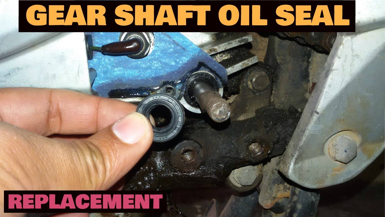 How to change gear shaft oil seal of any motorcycle | shift shaft oil seal (plusar 150)