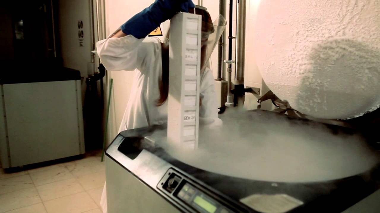 Vídeo institucional del CIMA de la Universidad de Navarra.