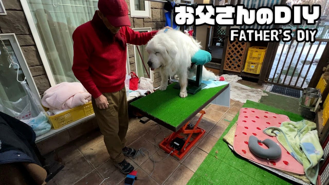 【ルンルンの裏庭】電動リフトでトリミング台を電動の昇降式にしました【お父さんのDIY】