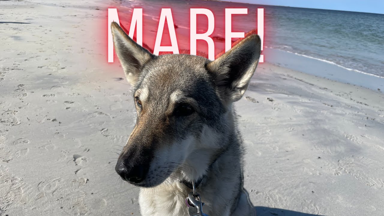 Ultimi Giorni alle Lofoten 😢 | Parte 18