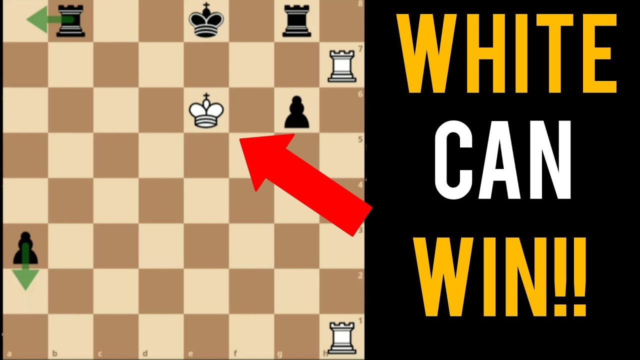This Is the BEST chess puzzle you will ever Seeeeeeeee!!!